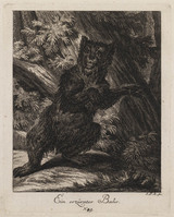 KG 01075
          <br/>
          Entwurf einiger Thiere. Dritter Theil. (18 bladen)
          <br/>
          <em>Ridinger, Johann Elias (1698-1767)</em>